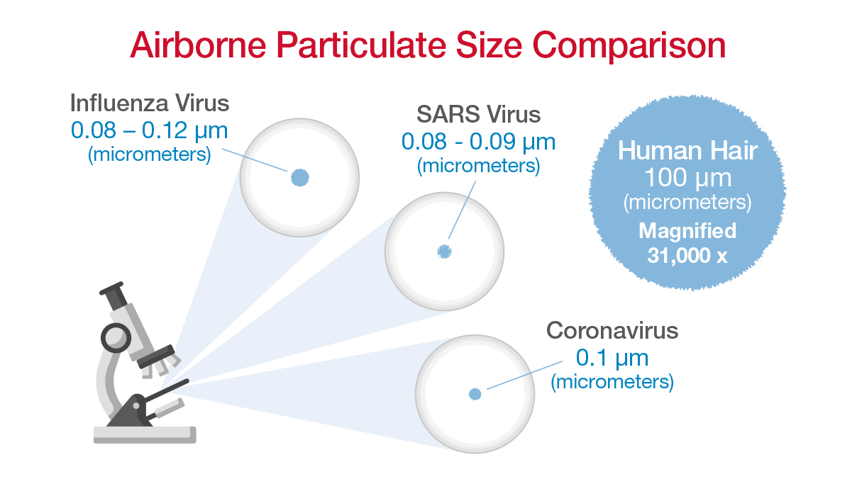 Airborne particulate size comparison